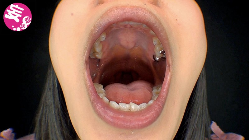 サンプル画像 8