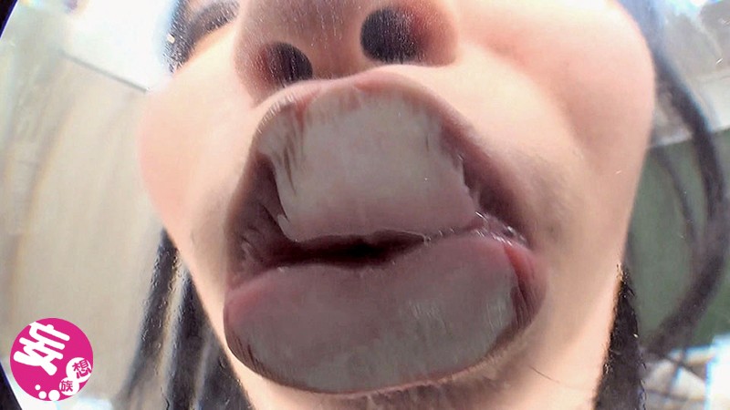 サンプル画像 8