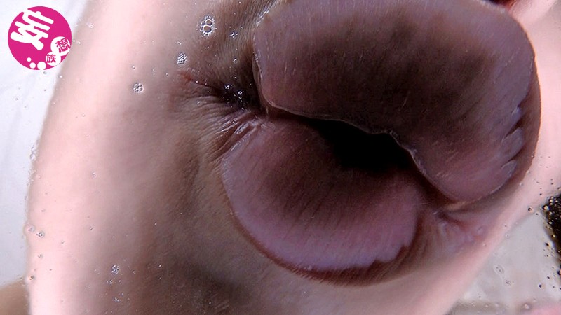 サンプル画像 5