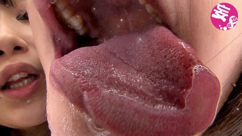 サンプル画像 4