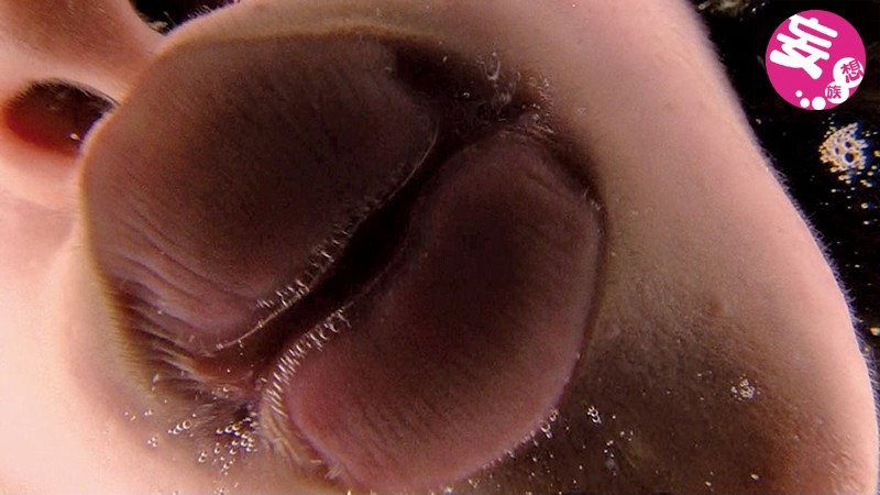 サンプル画像 8