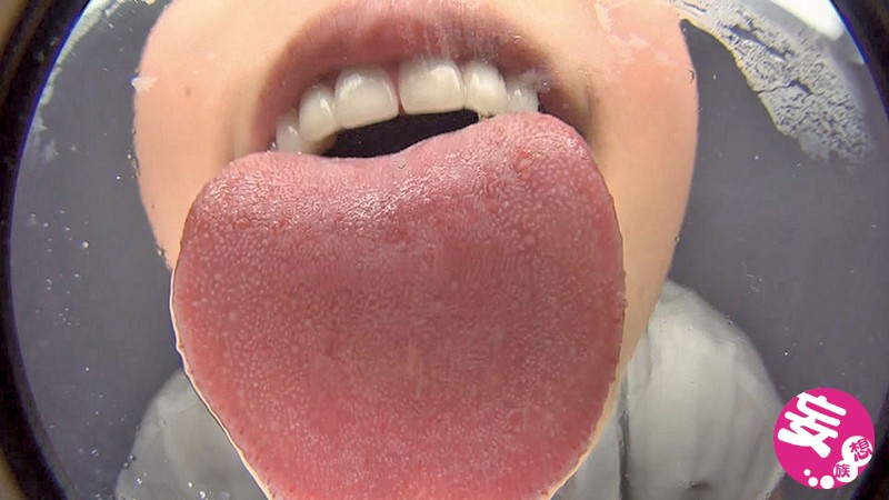 サンプル画像 11