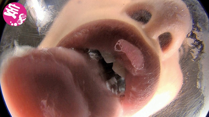 サンプル画像 7