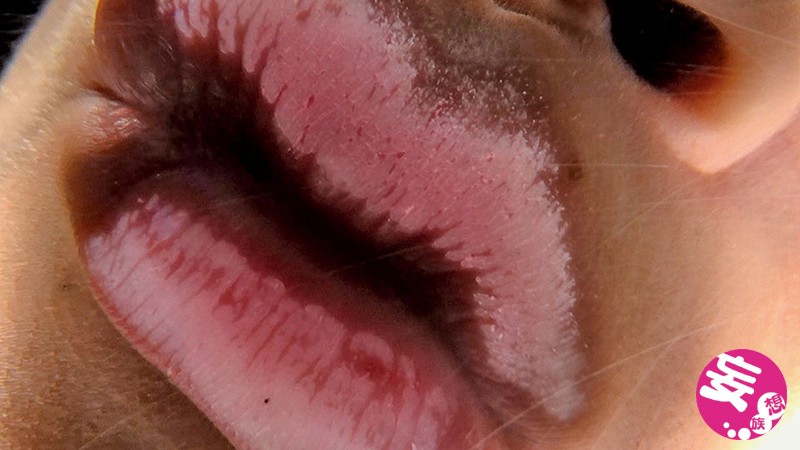 サンプル画像 8