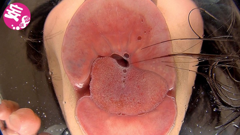 サンプル画像 9