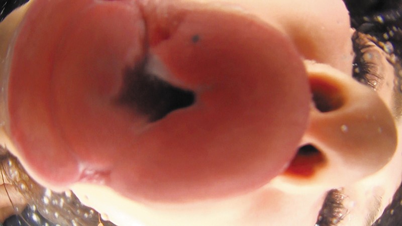 サンプル画像 4