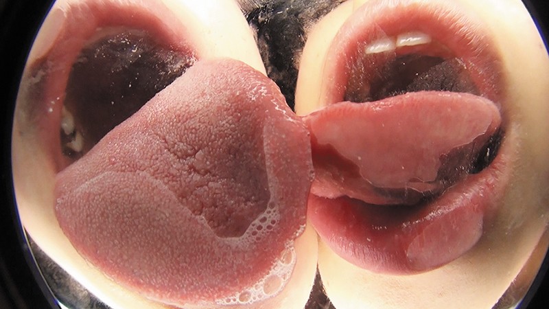 サンプル画像 10