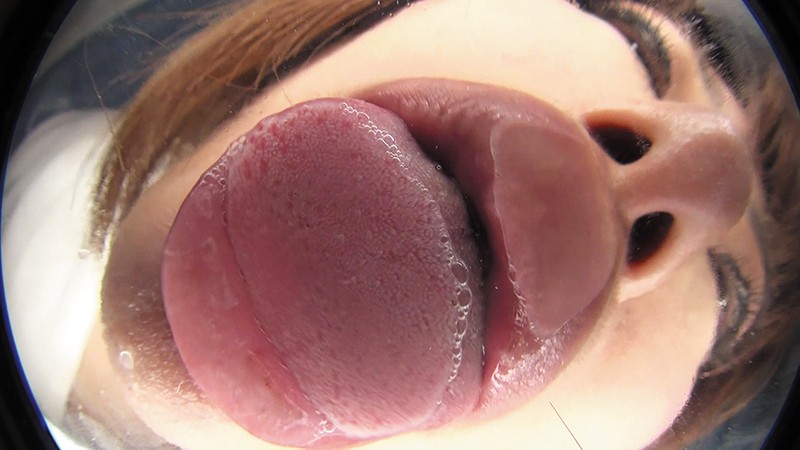 サンプル画像 8