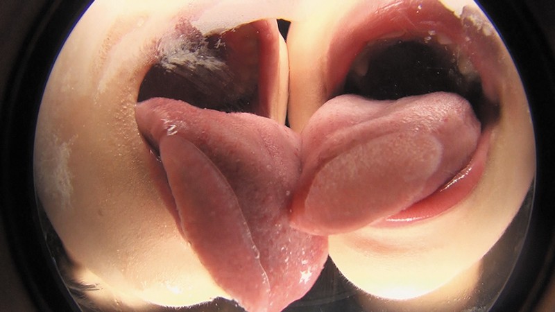 サンプル画像 11