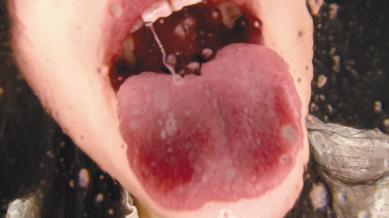 サンプル画像 6