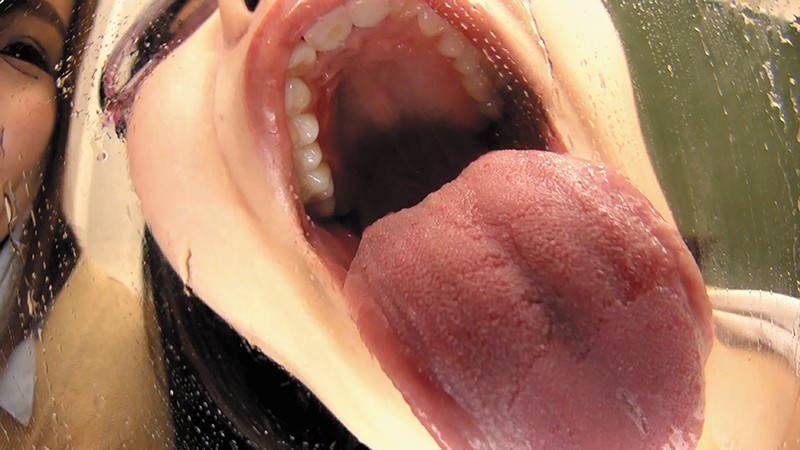 サンプル画像 4