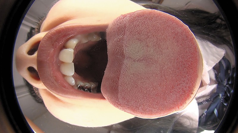 サンプル画像 13