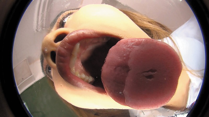 サンプル画像 15