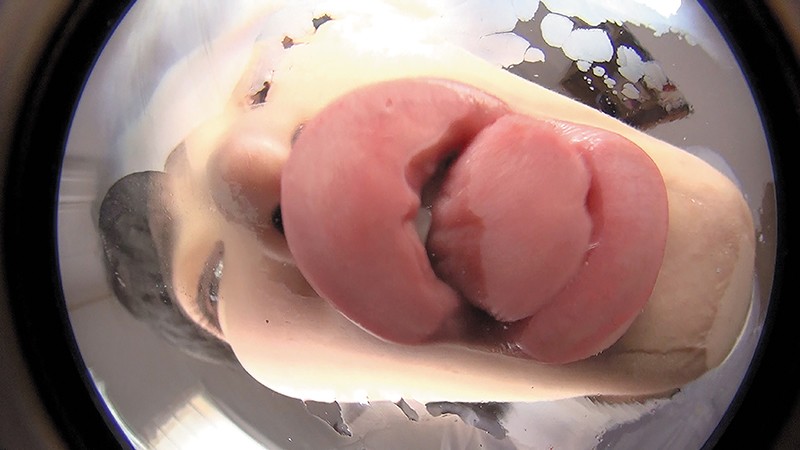 サンプル画像 18