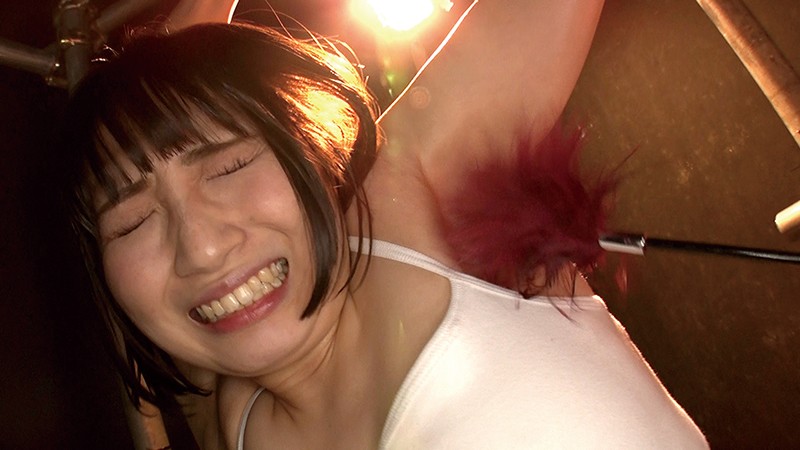 サンプル画像 10