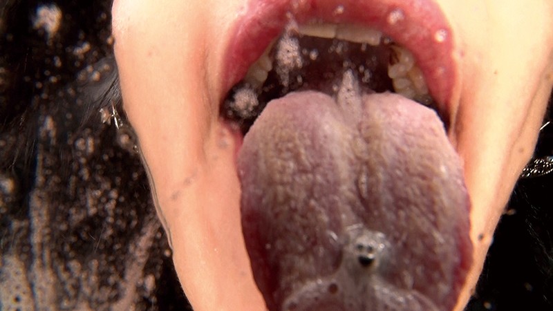 サンプル画像 21