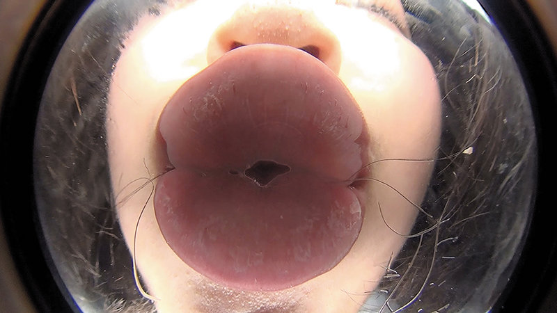 サンプル画像 11