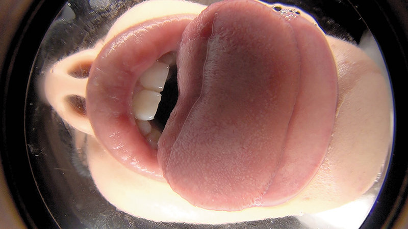 サンプル画像 13