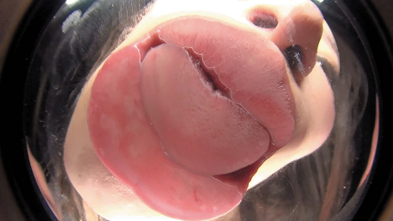 サンプル画像 16