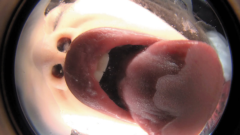 サンプル画像 10