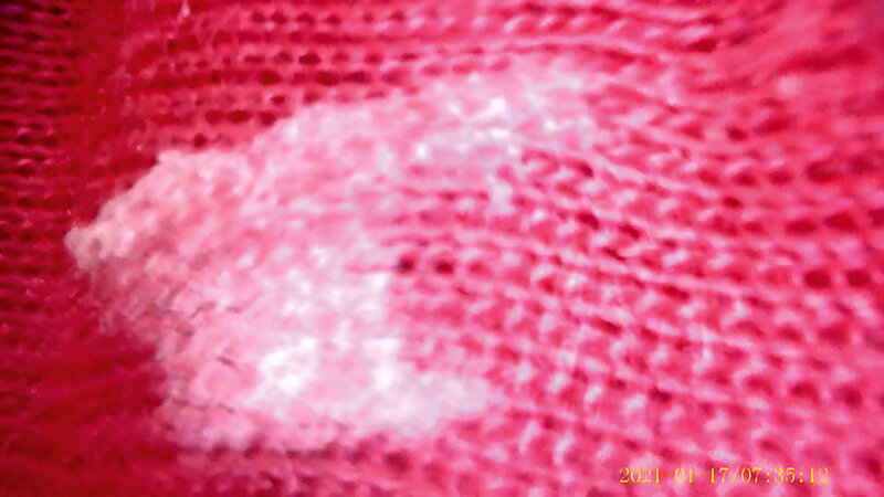 サンプル画像 21