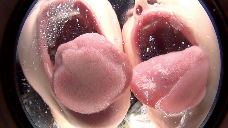 サンプル画像 18