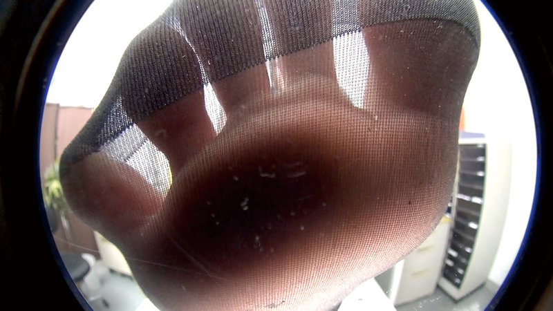 サンプル画像 4