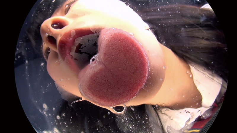 サンプル画像 9