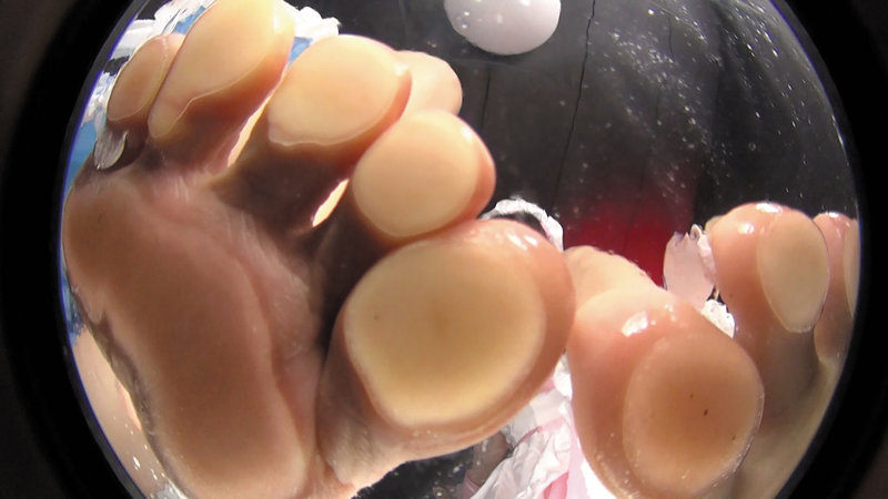 サンプル画像 11