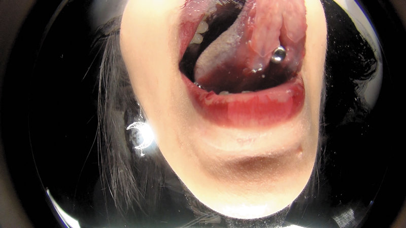 サンプル画像 14