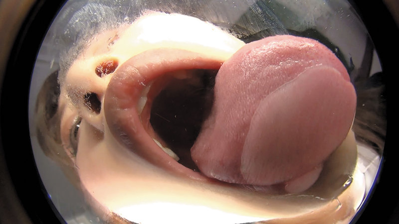 サンプル画像 6