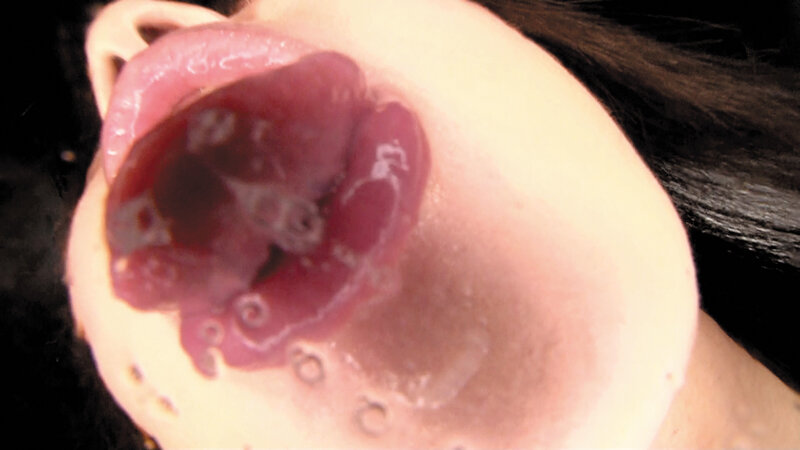 サンプル画像 11