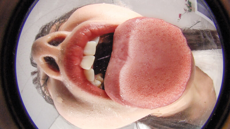 サンプル画像 11