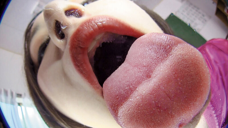 サンプル画像 14