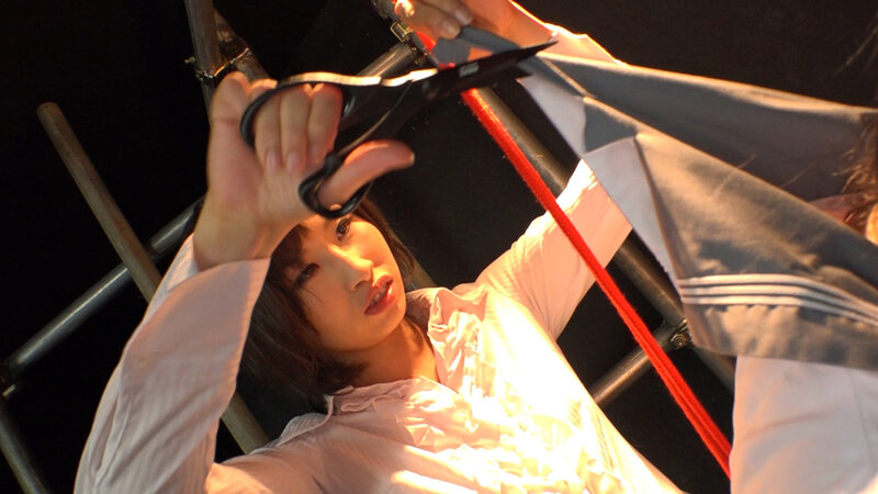 サンプル画像 14