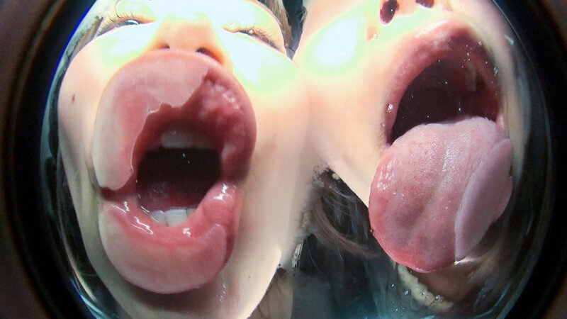 サンプル画像 13