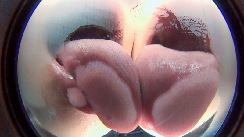 サンプル画像 16