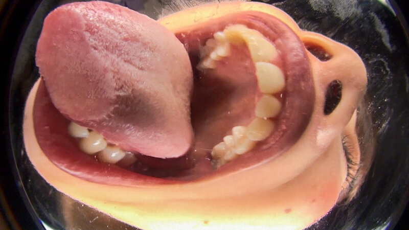 サンプル画像 9