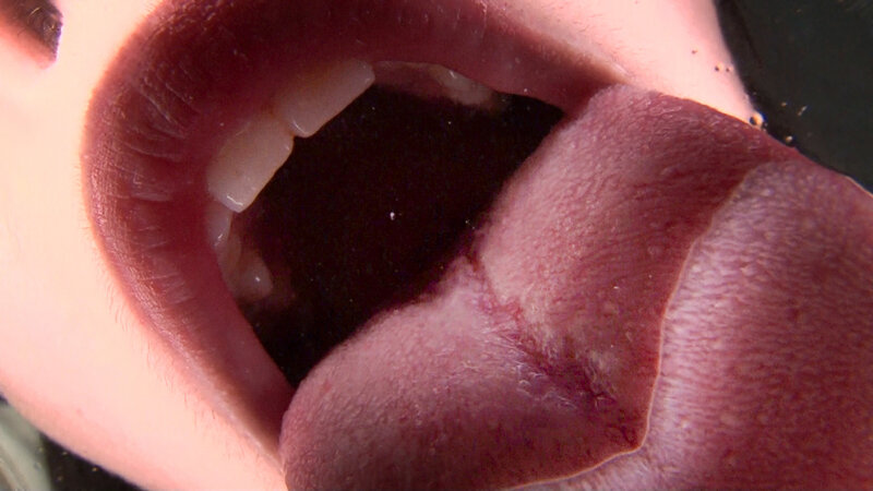 サンプル画像 16