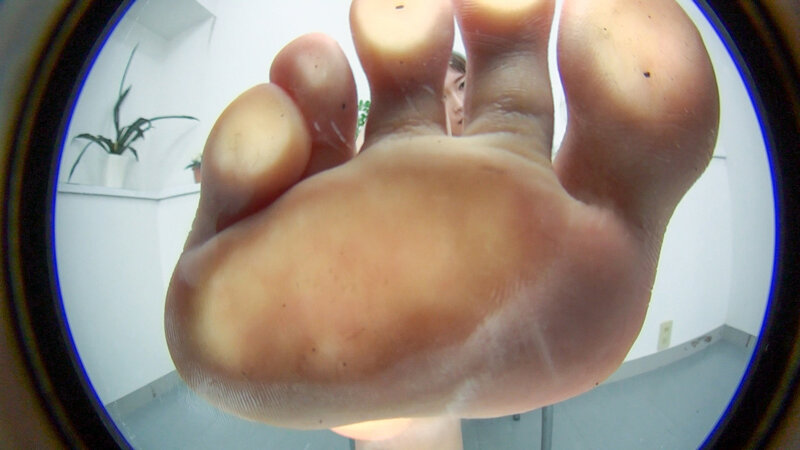 サンプル画像 8