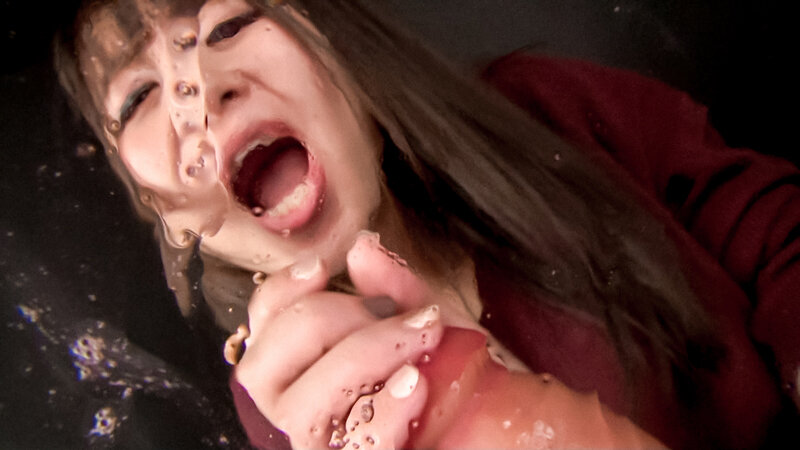 サンプル画像 5