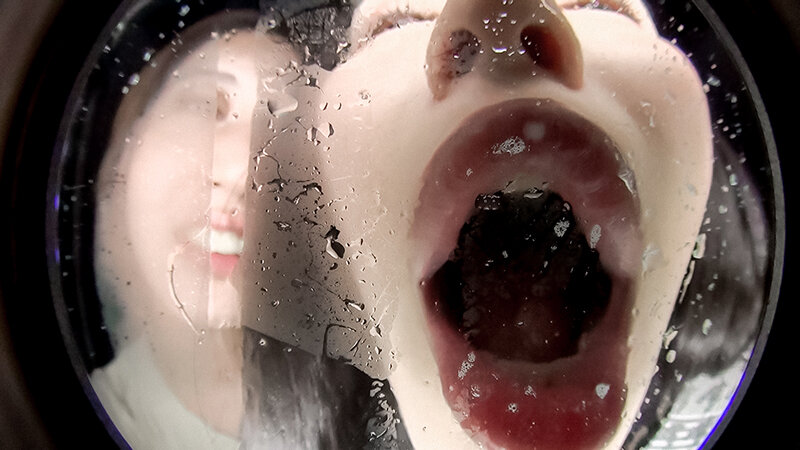 サンプル画像 5