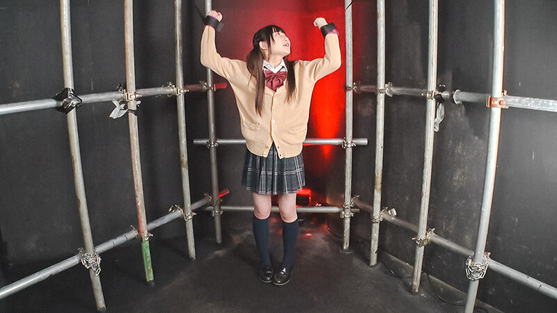 サンプル画像 4