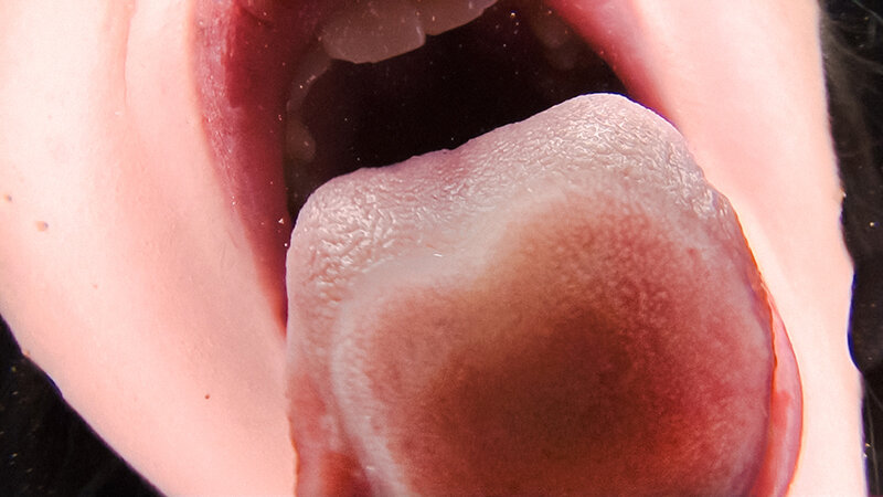 サンプル画像 15