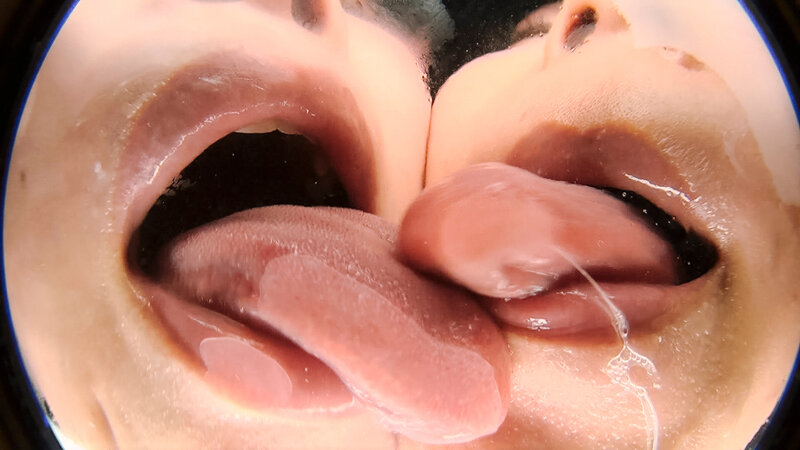 サンプル画像 12