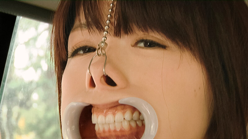 サンプル画像 16