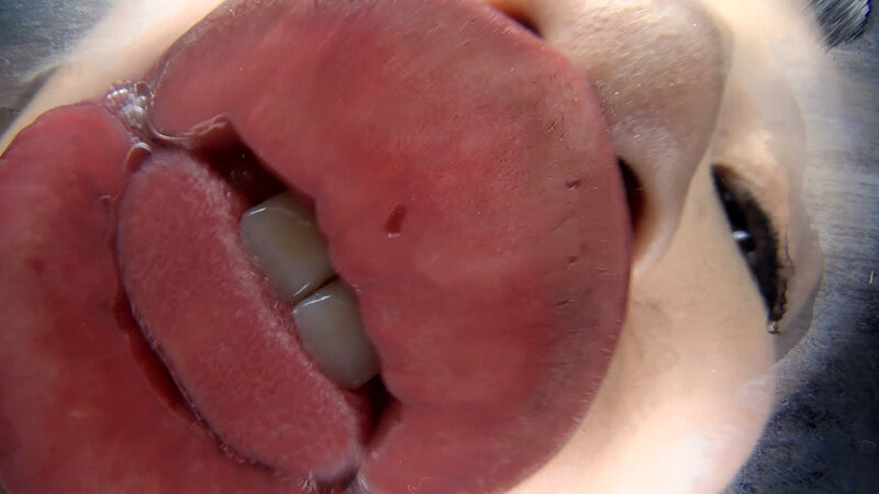 サンプル画像 8