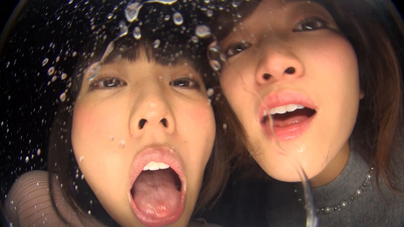 サンプル画像 12