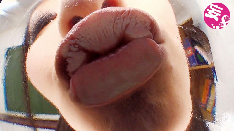 サンプル画像 8