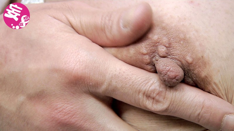 サンプル画像 8